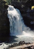 25-LE SAUT DU DOUBS-N°3796-B/0063 - Sonstige & Ohne Zuordnung