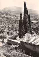 84-MONT VENTOUX-N°3796-D/0229 - Altri & Non Classificati