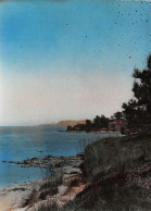 83-SAINT TROPEZ-N°3796-D/0189 - Saint-Tropez