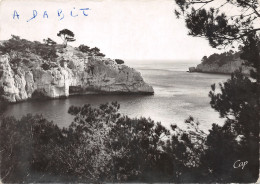 13-CASSIS-N°3797-C/0061 - Cassis