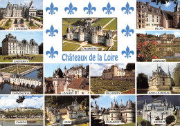 41-CHATEAUX DE LA LOIRE-N°3797-B/0229 - Andere & Zonder Classificatie