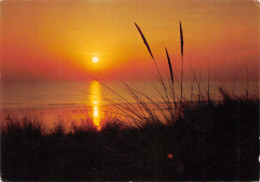 85-LA VENDEE COUCHER DE SOLEIL-N°3797-B/0073 - Sonstige & Ohne Zuordnung