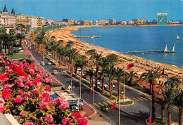 06-CANNES-N°3798-A/0267 - Cannes