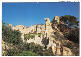 66-PYRENEES ROUSSILLON-N°3798-A/0127 - Other & Unclassified