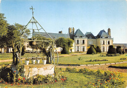 45-ARTENAY CHÂTEAU D AUVILLIERS-N°3798-D/0093 - Orleans