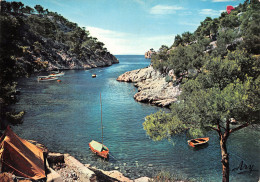 13-CASSIS-N°3798-C/0375 - Cassis