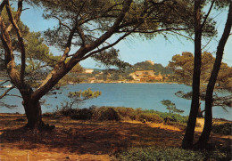 83-ILE DE PORQUEROLLES-N°3798-C/0037 - Other & Unclassified