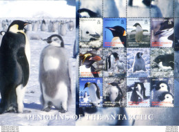 Fauna. Pinguini 2006. - Other & Unclassified