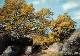 87-LES ROCHERS DE PUYCHAUD-N°3798-B/0259 - Sonstige & Ohne Zuordnung