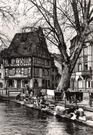 68-COLMAR-N°3798-B/0181 - Colmar