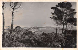 83-BANDOL-N°3798-E/0285 - Bandol