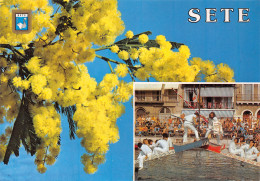 34-SETE-N°3798-D/0387 - Sete (Cette)