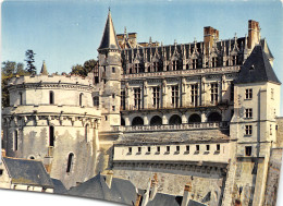 37-AMBOISE-N°3798-D/0209 - Amboise