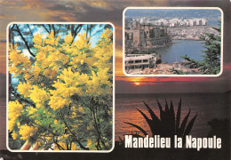 06-MANDELIEU LA NAPOULE-N°3799-D/0095 - Altri & Non Classificati