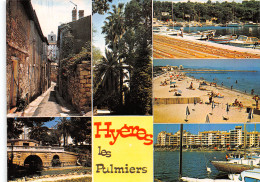 83-HYERES LES PALMIERS-N°3799-D/0003 - Hyeres