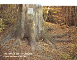 03-FORET DE TRONCAIS-N°3799-C/0261 - Sonstige & Ohne Zuordnung