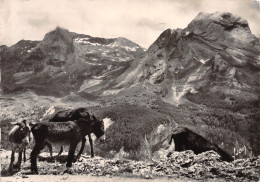 64-COL D AUBISQUE-N°3799-C/0195 - Sonstige & Ohne Zuordnung