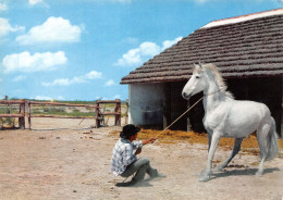 13-CAMARGUE-N°3799-B/0389 - Sonstige & Ohne Zuordnung