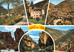 48-GORGES DU TARN-N°3799-B/0291 - Gorges Du Tarn