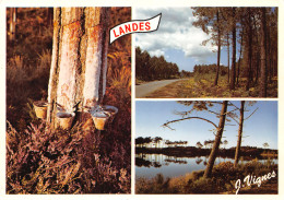 40-LES LANDES-N°3799-B/0201 - Other & Unclassified