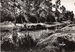 79-LE MARAIS POITEVIN-N°3799-D/0381 - Sonstige & Ohne Zuordnung