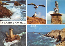 29-LA POINTE DU RAZ-N°3800-C/0293 - La Pointe Du Raz