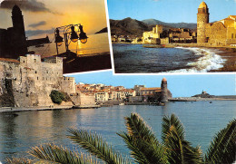 66-COLLIOURE-N°3800-C/0237 - Collioure