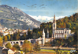 65-LOURDES-N°3800-C/0223 - Lourdes