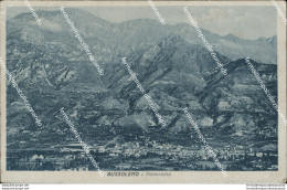 Bg112 Cartolina Bussoleno Panorama Provincia Di Torino - Andere & Zonder Classificatie