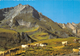 65-COL DE SOULOR-N°3800-B/0179 - Sonstige & Ohne Zuordnung