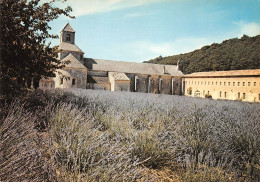 84-ABBAYE DE SENANQUE-N°3800-B/0075 - Otros & Sin Clasificación