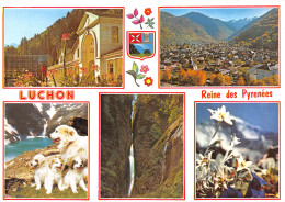 31-LUCHON-N°3801-B/0069 - Luchon