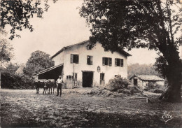 64-PAYS BASQUE-N°3801-B/0045 - Autres & Non Classés