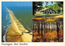 40-PAYSAGES DES LANDES-N°3801-A/0327 - Sonstige & Ohne Zuordnung