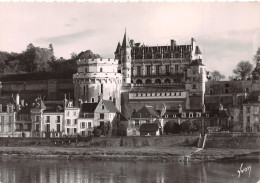 37-AMBOISE-N°3801-C/0273 - Amboise