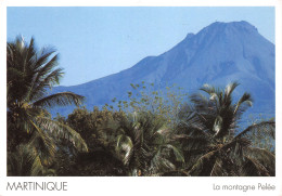 972-MARTINIQUE LA MONTAGNE PELEE-N°3802-B/0077 - Sonstige & Ohne Zuordnung