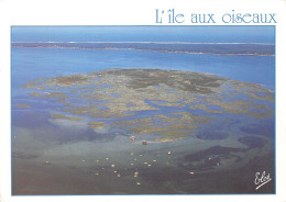 33-ILE AUX OISEAUX-N°3802-B/0067 - Other & Unclassified