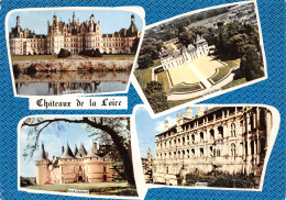 41-CHATEAUX DE LA LOIRE-N°3802-A/0297 - Sonstige & Ohne Zuordnung