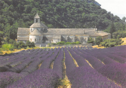 84-ABBAYE NOTRE DAME DE SENANQUE-N°3802-A/0047 - Sonstige & Ohne Zuordnung