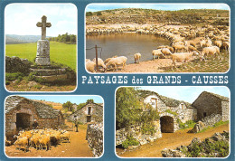 48-LES GRANDS CAUSSES DE LA LOZERE-N°3801-D/0349 - Sonstige & Ohne Zuordnung