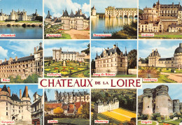 37-CHATEAUX DE LA LOIRE-N°3801-D/0335 - Other & Unclassified