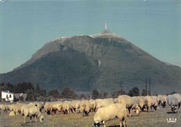 63-LE PUY DE DOME-N°3802-C/0365 - Andere & Zonder Classificatie