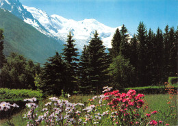 74-LE MONT BLANC-N°3802-C/0345 - Sonstige & Ohne Zuordnung