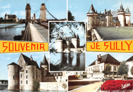 45-SULLY SUR LOIRE-N°3802-C/0247 - Sully Sur Loire