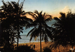 971-GUADELOUPE COUCHER DE SOLEIL SUR LA MER DES CARAIBES-N°3802-C/0203 - Andere & Zonder Classificatie