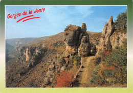 12-GORGES DE LA JONTE-N°3802-C/0157 - Altri & Non Classificati