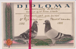 Diploma Duiven 3° Prijs Talloen Gebrs - Uitkerke 1952 - Maatschappij De Reisduif - Diplome Und Schulzeugnisse