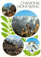 74-CHAMONIX-N°3802-B/0185 - Chamonix-Mont-Blanc