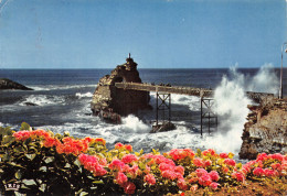 64-BIARRITZ-N°3802-B/0187 - Biarritz