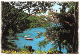 971-GUADELOUPE LES SAINTES TERRE DE BAS-N°3803-B/0131 - Otros & Sin Clasificación